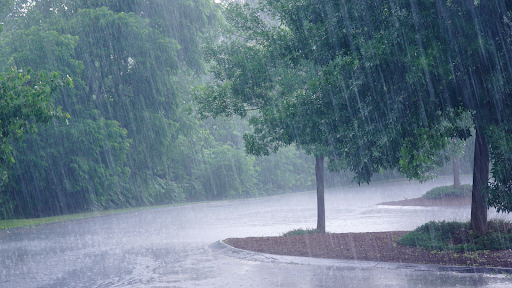 prepare electrical system for extreme weather